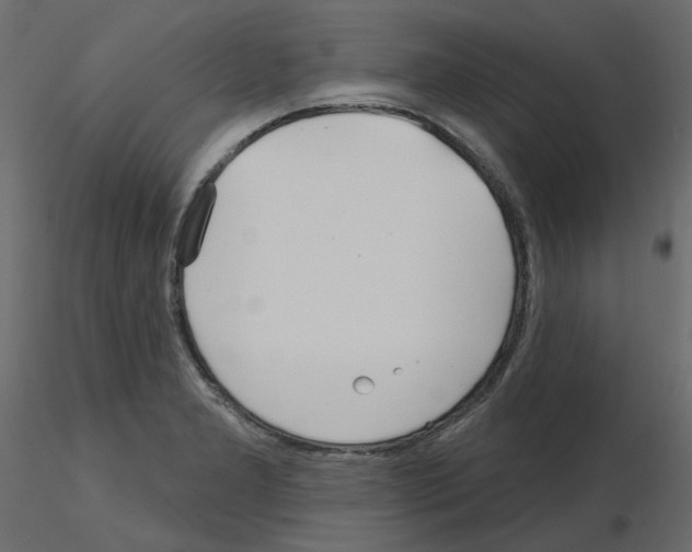 X0000115691277200912241454