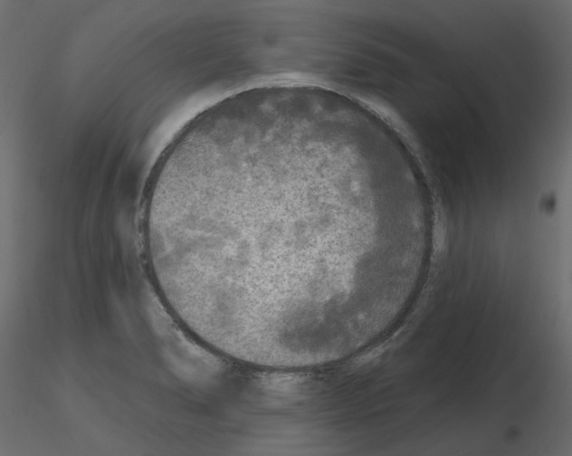 X0000115691278200912241454