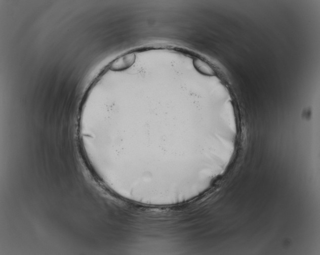 X0000115691279200912241454
