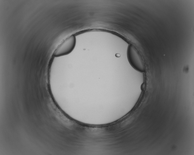 X0000115691280200912241454