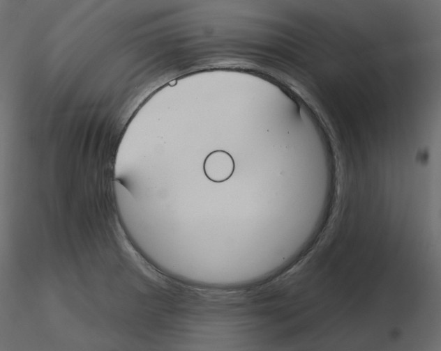 X0000115691281200912241454
