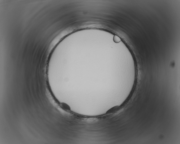 X0000115691282200912241454