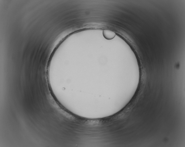 X0000115691283200912241454