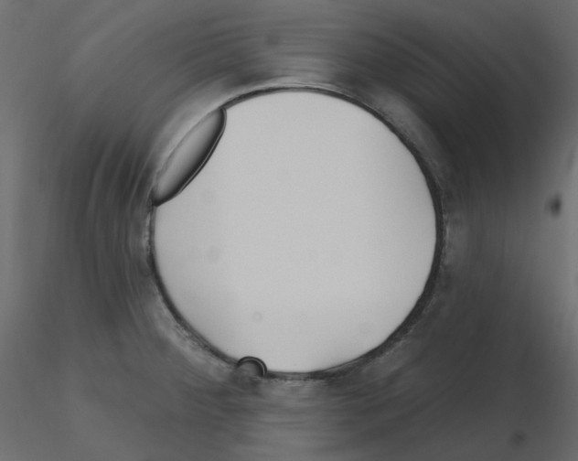 X0000115691284200912241454