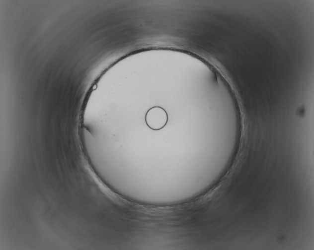 X0000115691285200912241454