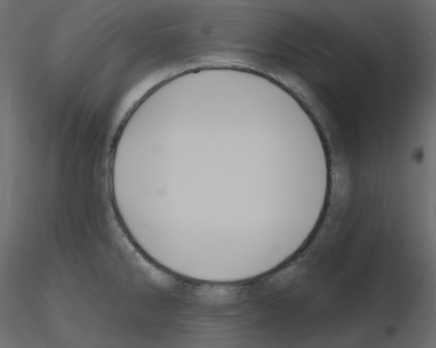 X0000115691286200912241454