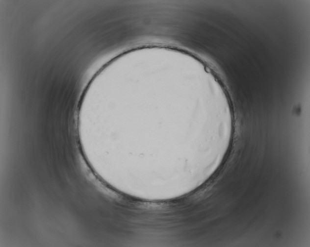 X0000115691287200912241454