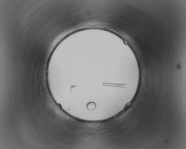 X0000115691288200912241454