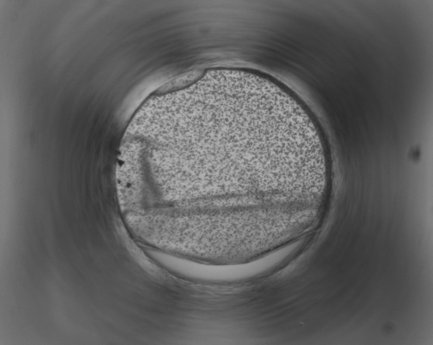 X0000115691289200912241454