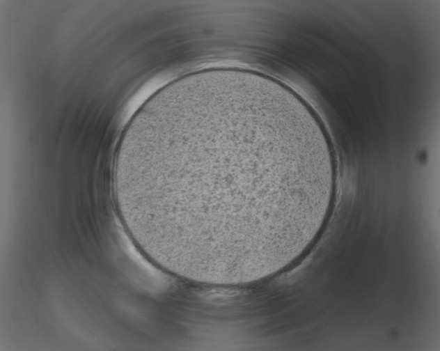 X0000115691290200912241454