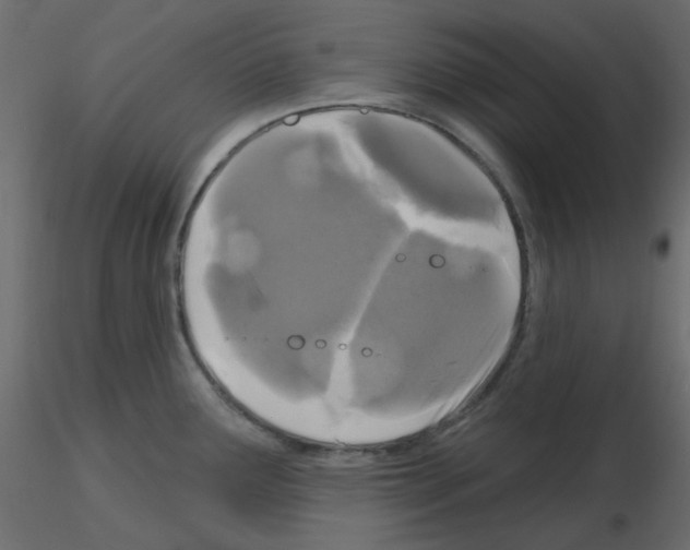 X0000115691291200912241454
