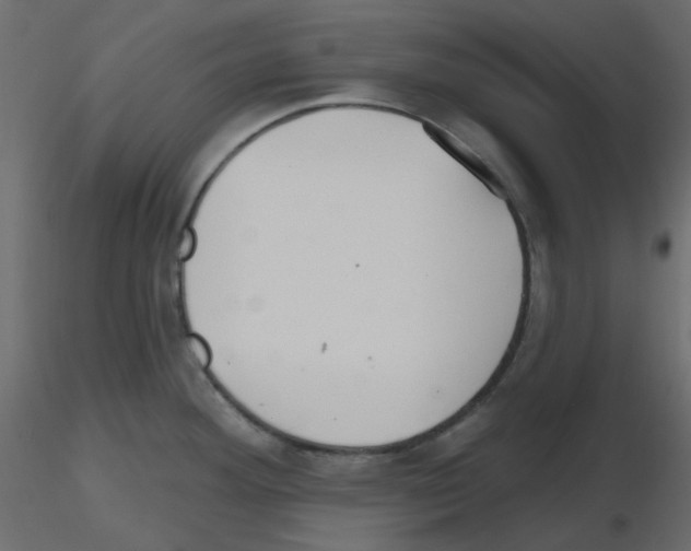 X0000115691292200912241454