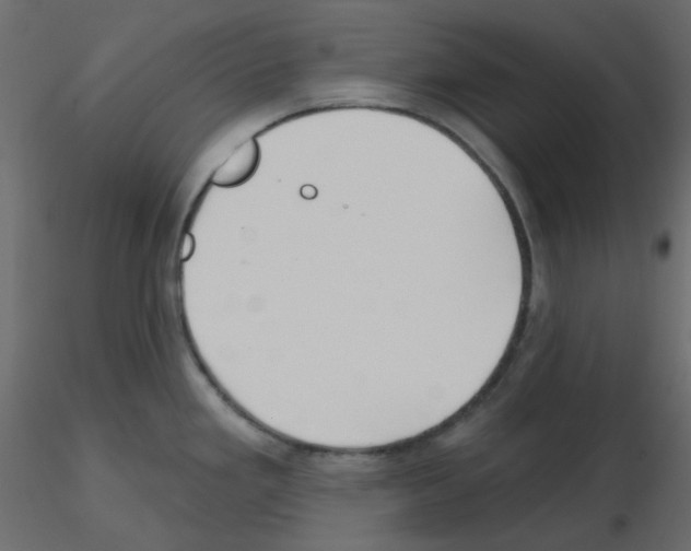 X0000115691293200912241454