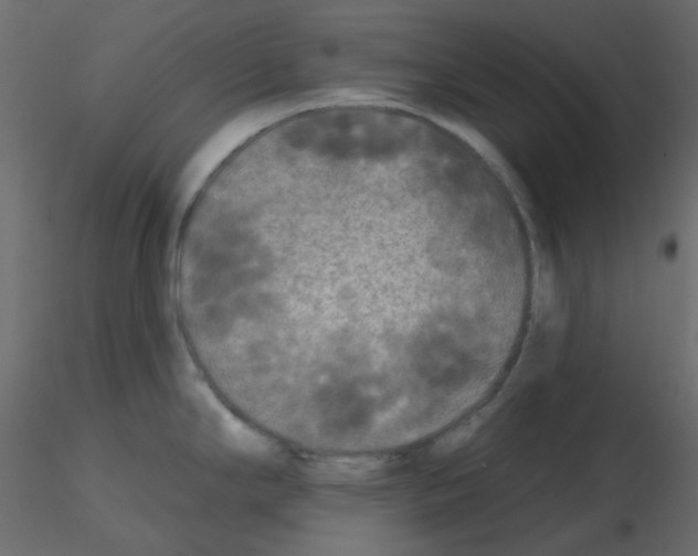 X0000115691294200912241454