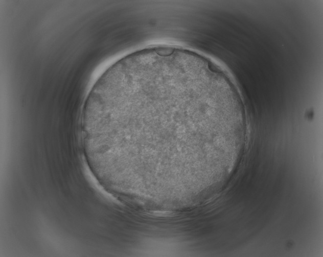 X0000115691295200912241453