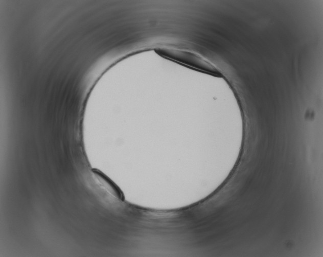 X0000115691296200912241453