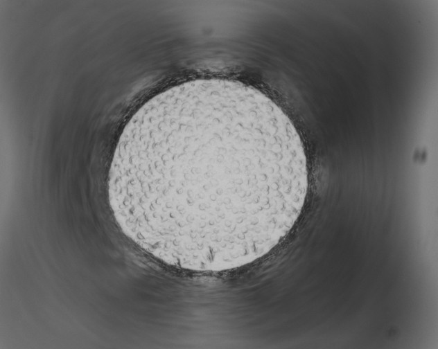 X0000115691297200912241453