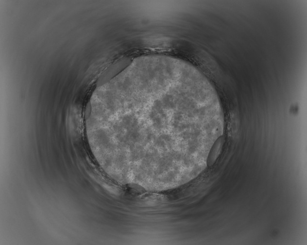 X0000115691298200912241453
