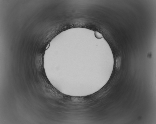 X0000115691299200912241453