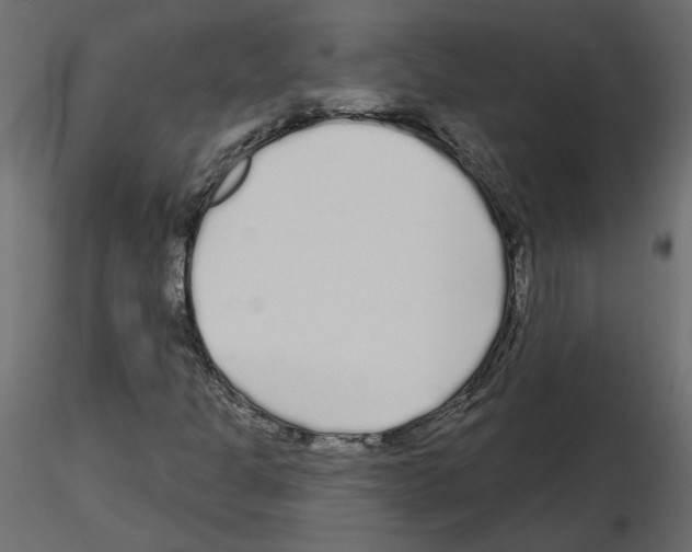 X0000115691301200912241453