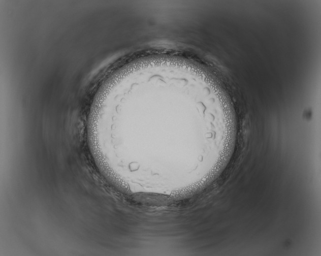 X0000115691302200912241453