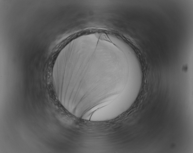 X0000115691303200912241453