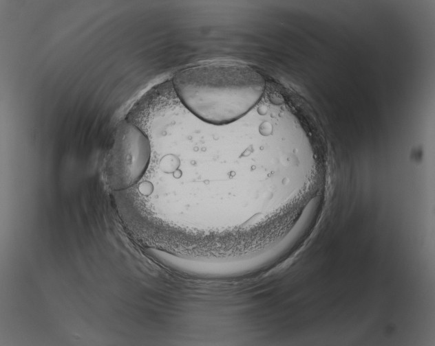 X0000115691305200912241453