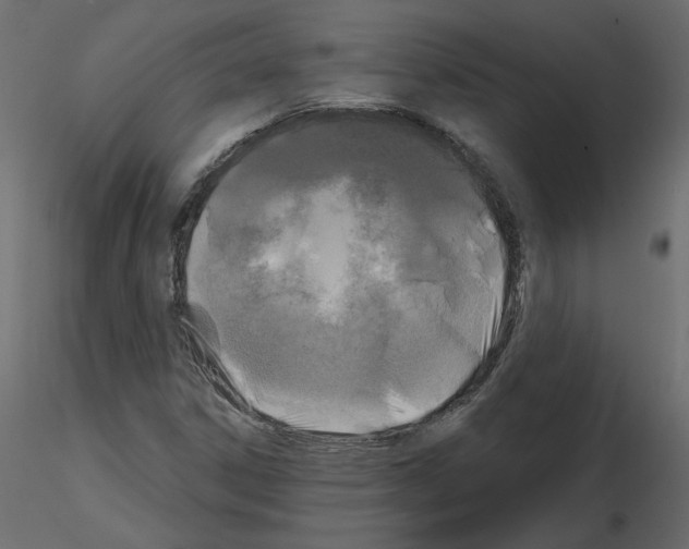 X0000115691306200912241453