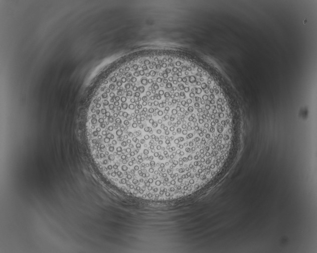 X0000115691307200912241453