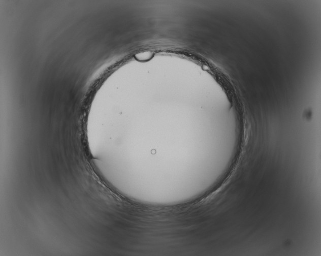 X0000115691309200912241453