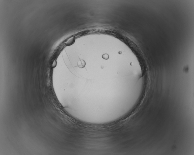 X0000115691310200912241453