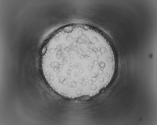 X0000115691311200912241453