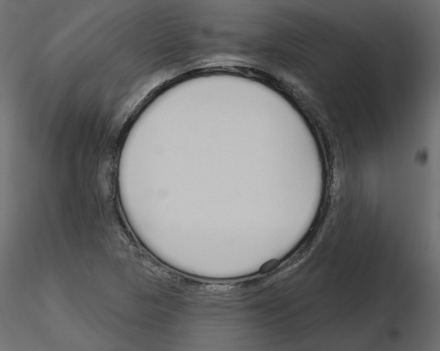 X0000115691313200912241453