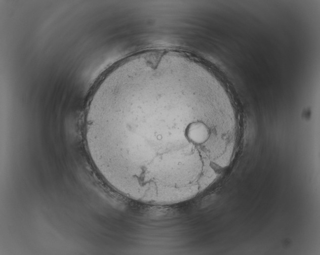 X0000115691314200912241453