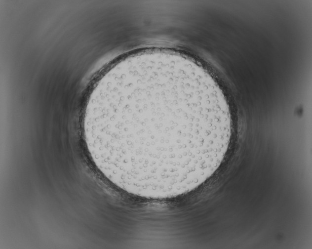 X0000115691315200912241453