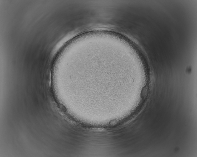 X0000115691317200912241453