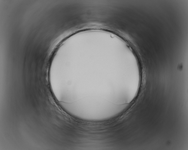 X0000115691318200912241453