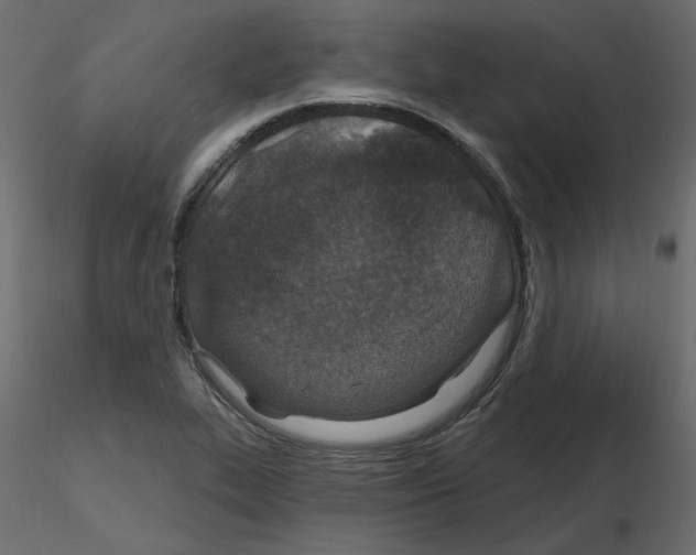 X0000115691319200912241453