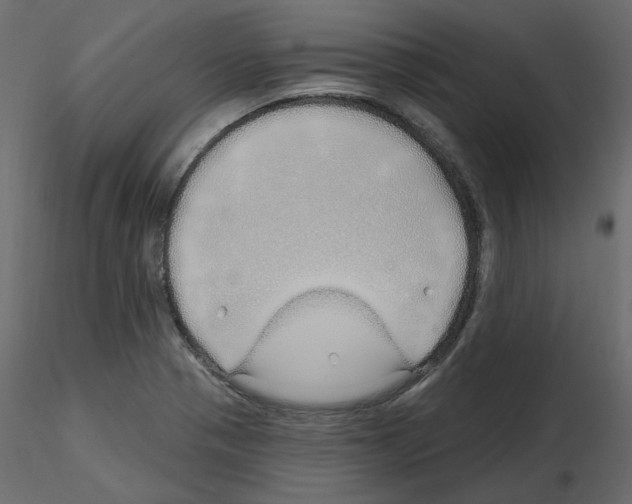 X0000115691321200912241453
