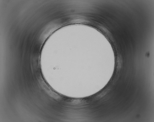X0000115691322200912241453
