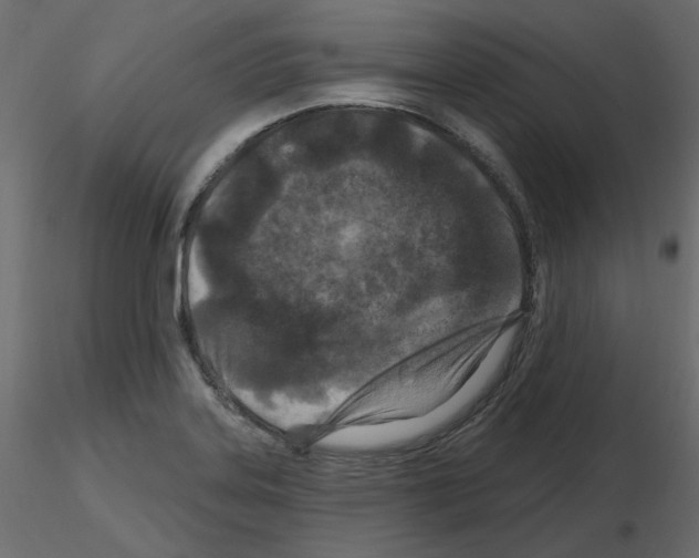 X0000115691323200912241453