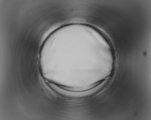 X0000115691325200912241453