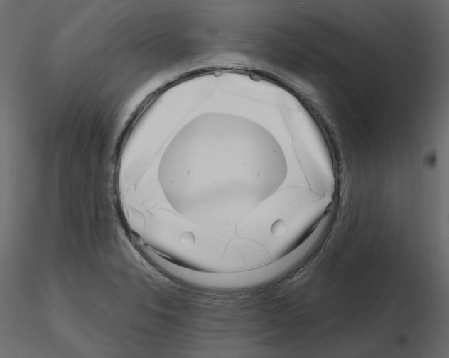 X0000115691326200912241453