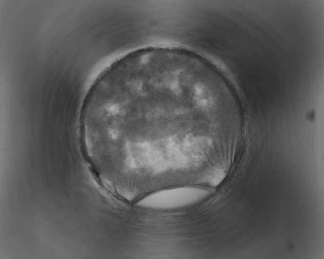 X0000115691327200912241453