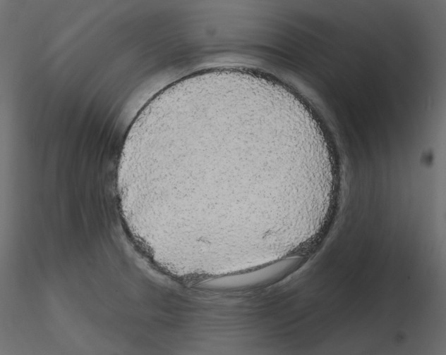 X0000115691329200912241453