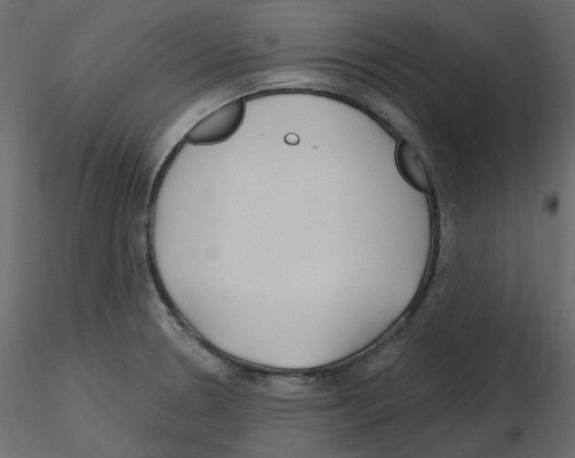 X0000115691330200912241453