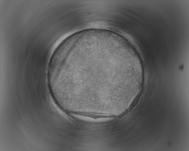 X0000115691331200912241453
