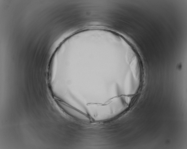X0000115691333200912241453