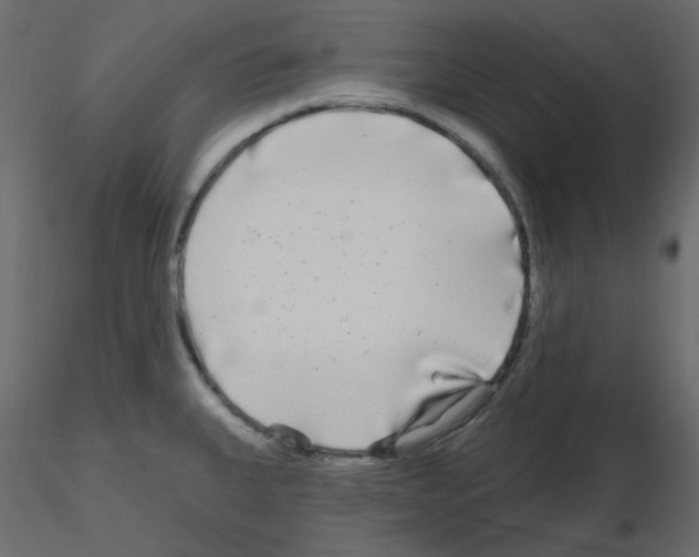 X0000115691335200912241453