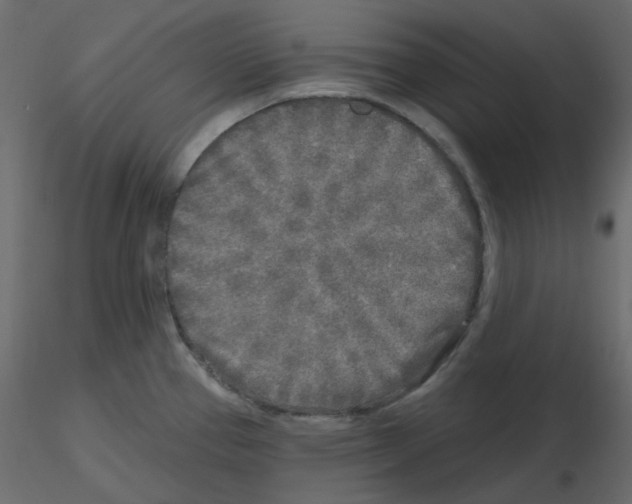 X0000115691337200912241453